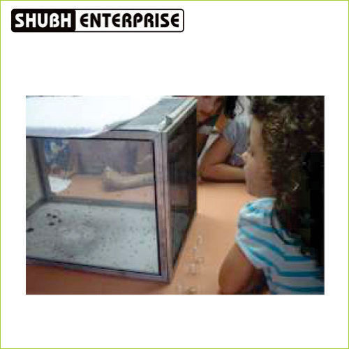 Insect Cage