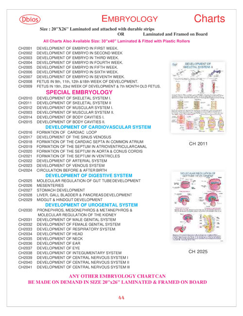 Embryology Chart