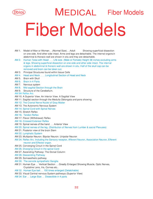 Fiber Model