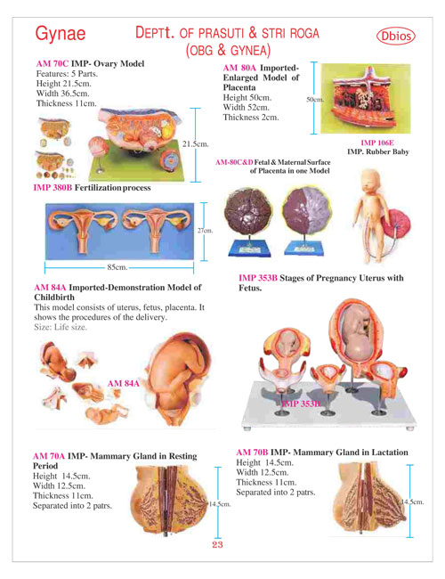 Gynae DEPTt. OF PRASUTI & STRI ROGA (OBG & GYNEA)
