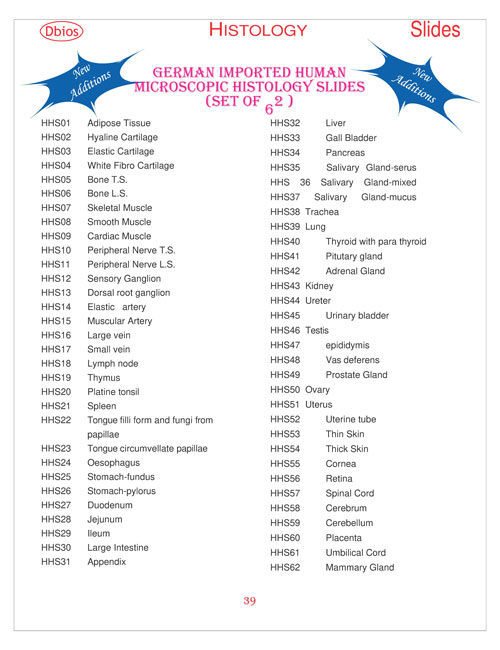 Histology Slide