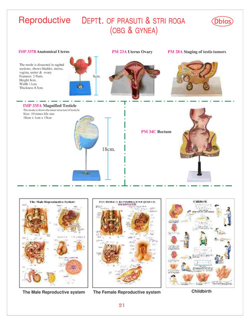 Reproductive DEPTt. OF PRASUTI & STRI ROGA (OBG & GYNEA)