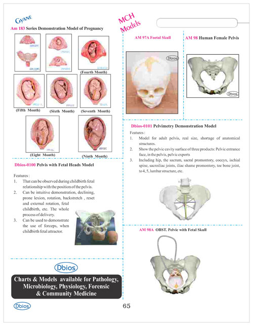 Gynae MCH Model