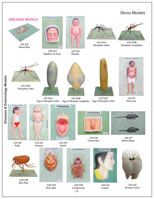 Disease Model