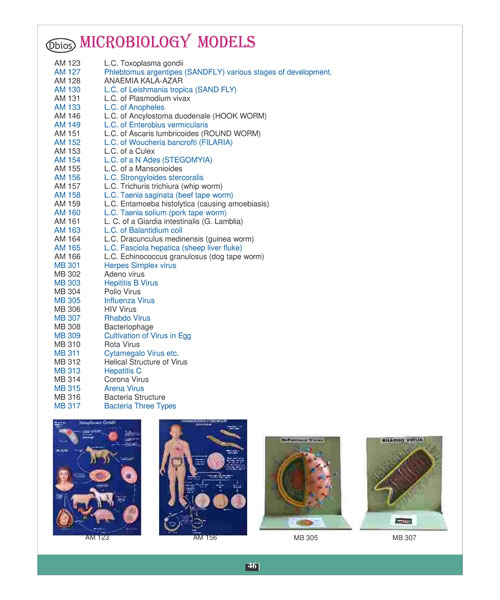 Microbiology Model