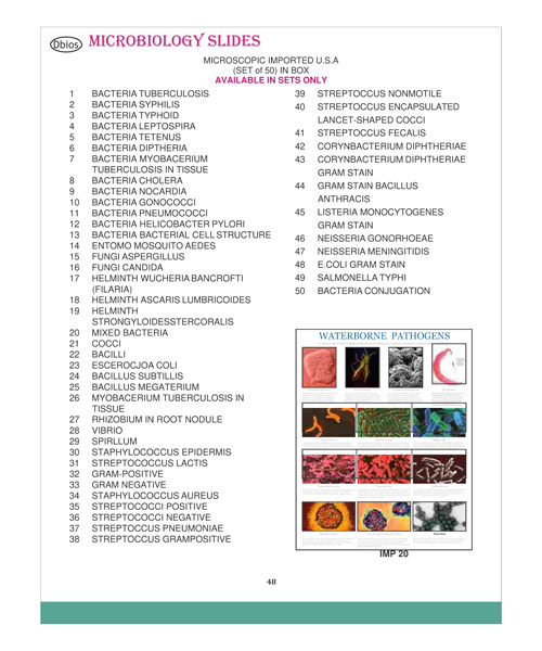 Microbiology Slide